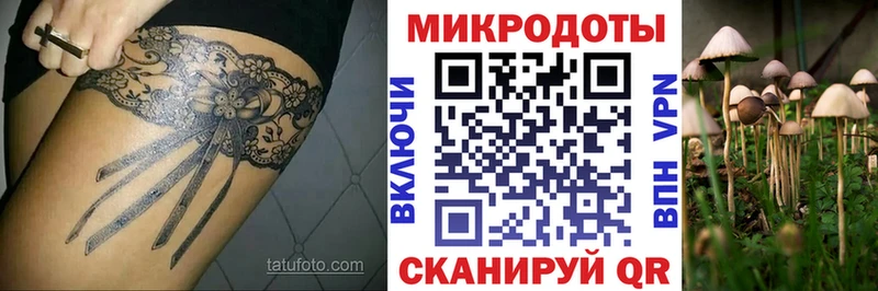 Галлюциногенные грибы Psilocybe omg tor Углич